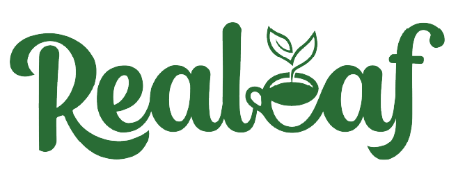 Realeaf Tea | Blend of Assam and Dooars